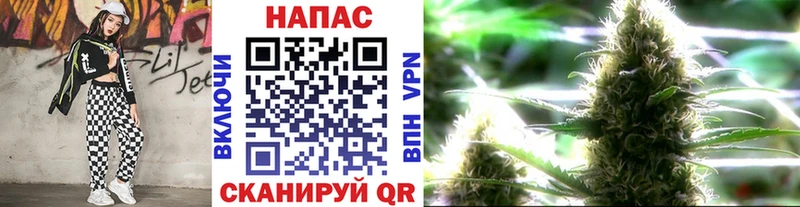купить закладку  Чекалин  Конопля план 